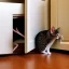 Placeholder: cat finds mouse under cupboard