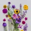 Placeholder: delicate arrangement of pressed flowers, beautiful composition, aesthetic layout, wildflowers, watercolor