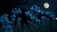 Placeholder: unique blue twisty flowers growing in yard, night, full moon, 8k, high quality, trending art, trending on artstation, sharp focus, studio photo, intricate details, highly detailed, by tim burton