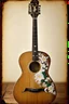 Placeholder: Une guitare avec des fleurs brodees, , tintype