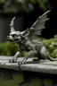 Placeholder: Small flying gargoyle