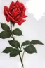 Placeholder: roses in clear vase, photograph