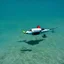 Placeholder: Rolling, turning, diving Rolling, turning, diving (doing it again) Rolling, turning, diving Rolling, turning, diving