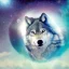 Placeholder: A magical spiritual wolf