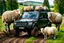 Placeholder: lots of sheep jumping each other, portrait of a broken mechanic, mixed body hybrid part big (sheep), fixing (far away old land rover 4x4 discovery 2) in the countryside