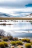 Placeholder: paisaje del sur argentino, con lago, día frio y nevado, incluyendo animales y plantas autóctonos.