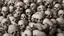 Placeholder: hundreds of anatomically correct, human skulls stacked into a wall unusual neon lighting, high octane, 64k, dystopian, vray, a picture of a dark, comedic, anatomically correct wall of colorful tightly packed skulls of varying sizes and expressions, photo-realistic, insanely meticulous, highly detailed,, 64k, dystopian, vray