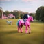 Placeholder: a big man siting on a pink horse