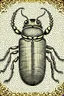 Placeholder: vintage, gothic, steampunk drawings of a beetle, sepia-toned