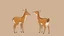 Placeholder: a whimsical illustration of 2 deer, a female deer on the left with body facing left but is looking back to the right, while on the right is a male deer facing left with a look of mild excitement while he glancing at the other's butt, both have upward tails