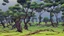 Placeholder: Beautiful landscape with trees, earth opens up and breaks down in black polygons.