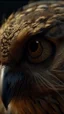 Placeholder: A hyperrealistic macro shot of an owl head out of a spider web, intricate details, soft natural light, screen captured from 4K Blu-ray