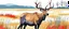 Placeholder: an Elk in a prairie field, wild grasses and bushes in corners of foreground, wildlife illustration