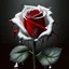 Placeholder: A white rose bleeding red blood from its stem