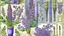 Placeholder: background, vintage Purple Broom clip art, Neutral, soft, watercolor, elegant, Flora Collage, Purple Kit, fairytale theme, vintage card design, purple, Watercolor, trending on artstation, sharp focus, studio photo, intricate details, highly detailed, by greg rutkowski, Watercolor, trending on artstation, sharp focus, studio photo, intricate details, highly detailed, by greg rutkowski