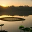 Placeholder: lotus jungle lake at sunrise