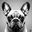 Placeholder: french bulldog from the future