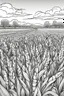 Placeholder: coloring page, corn field, cartoon style, thick lines, low detail, no shading