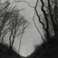 Placeholder: ilustración de un hombre en mitad de un bosque