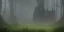 Placeholder: Ruined overgrown castle deep in a misty forest