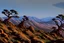 Placeholder: mountains, a gloomy rocky landscape, cypresses stretching up in the foreground, rocks and a bloody sky in the background