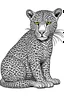 Placeholder: A black-and-white outlined drawing of leopard for kid's colouring books