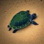 Placeholder: little turtle goes on a trip