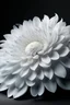 Placeholder: A decoration for fashion with chrysanthemum petals in organza sewed tighter to make a 3d flower in total white