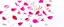 Placeholder: photo of a white background image with rose petals and glitter stars