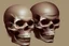 Placeholder: glitch skull by pontormo