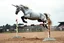 Placeholder: Realistic unicorn jumping over obstacles on an equestrian course show jumping arena, realistic, grainy photography, gritty image, cloudy sky, dust