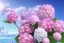 Placeholder: snow, pink castel and at right pink tree, a lot of pink hydrangeas