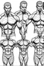 Placeholder: Abdominal muscles drawing sketches
