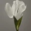 Placeholder: tiny oil painting of single long stem pressed flower, white canvas, ghostly, melancholy, tender, moody, vintage, delicate arrangement, beautiful composition, etsy, aesthetic layout, plain solid white background