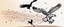 Placeholder: 2 birds being chased through the air by an eagle, they each trail a graphic line behind them, and lost feathers, vector