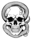 Placeholder: skull with snake tattoo idea, line art, background, vector, svg, coloring book page style, black outline on white background, leave plenty of white space beetween lines for coloring, minimalist, tattoo style, tattoo idea