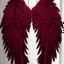 Placeholder: burgundy angel wings