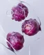 Placeholder: pomegranate are refracted under water