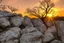 Placeholder: Rocks, sunset, branches