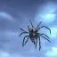 Placeholder: Giant transparent ethereal starry spider, realistic