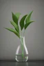 Placeholder: elegant plant in a clear vase with full water on clear gray background
