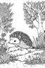 Placeholder: a hedgehog in a charming European woodland, clean line art, monochrome, for kids coloring book