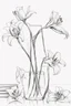 Placeholder: outline art of Dayliliesonly black and white, no colour , White background. sketch style, clean line art, white background, no shadow and clear, no people, no colour, for book