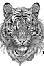 Placeholder: tiger face tattoo, coloring page, clean line art, adults drawing book, Black and white only, crisp black lines, sharp lines, coloring page for adults, black and white picture, lots of details,