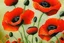 Placeholder: Poppies in the style of Oskar koller
