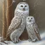 Placeholder: snow OWL