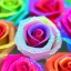 Placeholder: transparent multicolor crystal rose