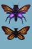 Placeholder: wolf-spider monarch-butterfly hybrid