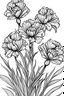 Placeholder: Dianthus flower coloring page