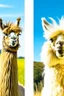 Placeholder: lama cyberpunk